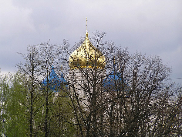 Купола