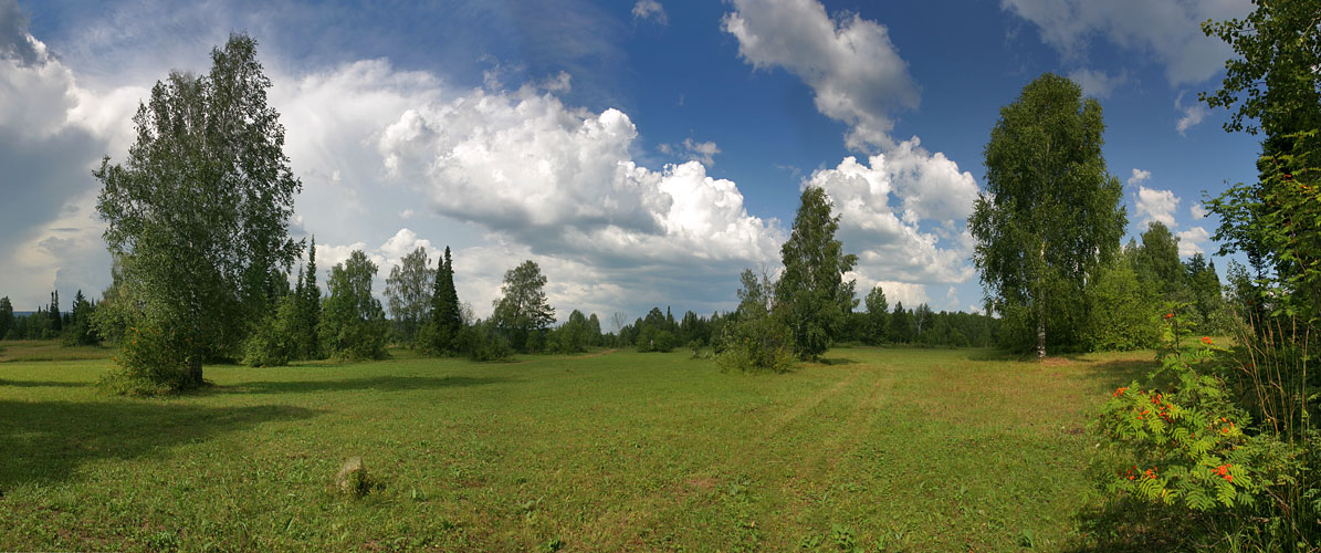 Полянка