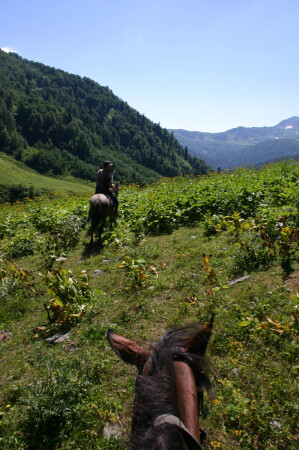 В Чуйской долине
