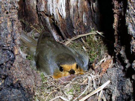 Проходите мимо!