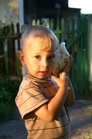 Ее приложишь к уху - а в ней шумит прибой...