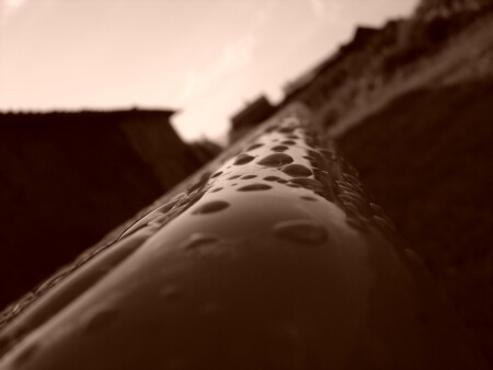 после дождя