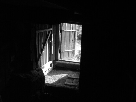 ближний свет