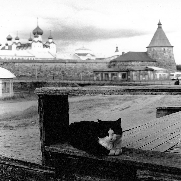 На Соловках