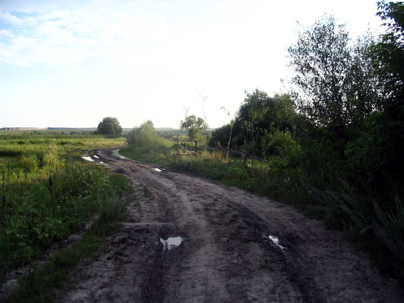 дорога