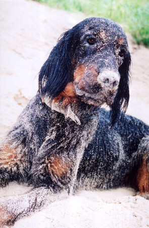 Гордон песчанных карьеров