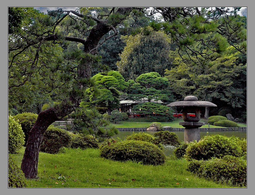 Rikugien Garden. Tokyo