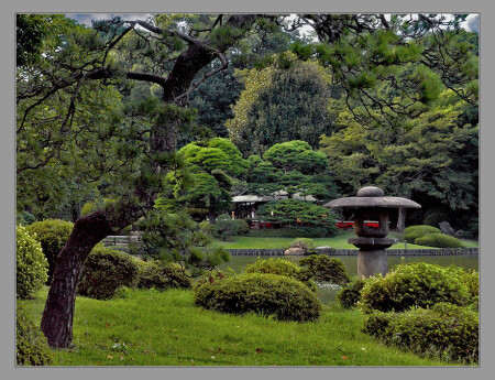 Rikugien Garden. Tokyo