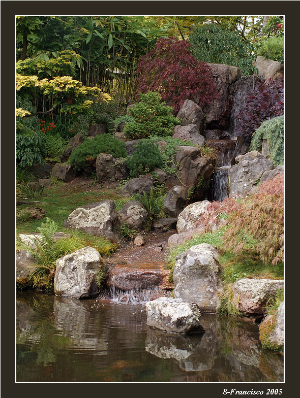 tea garden