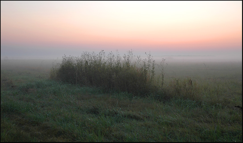 Утро туманное (2)
