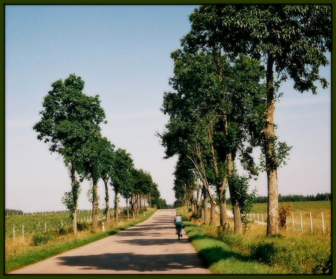 Podlasie 5
