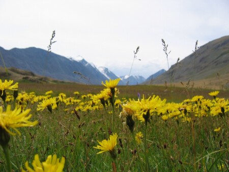 Нежные горы