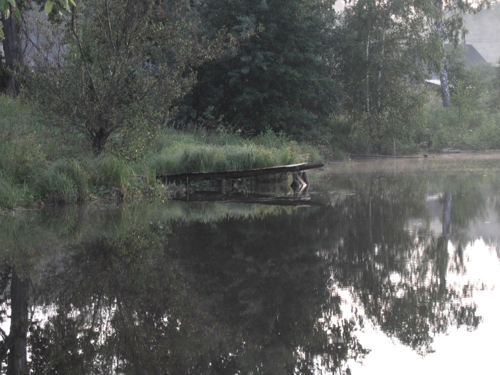 здесь должны водится русалки