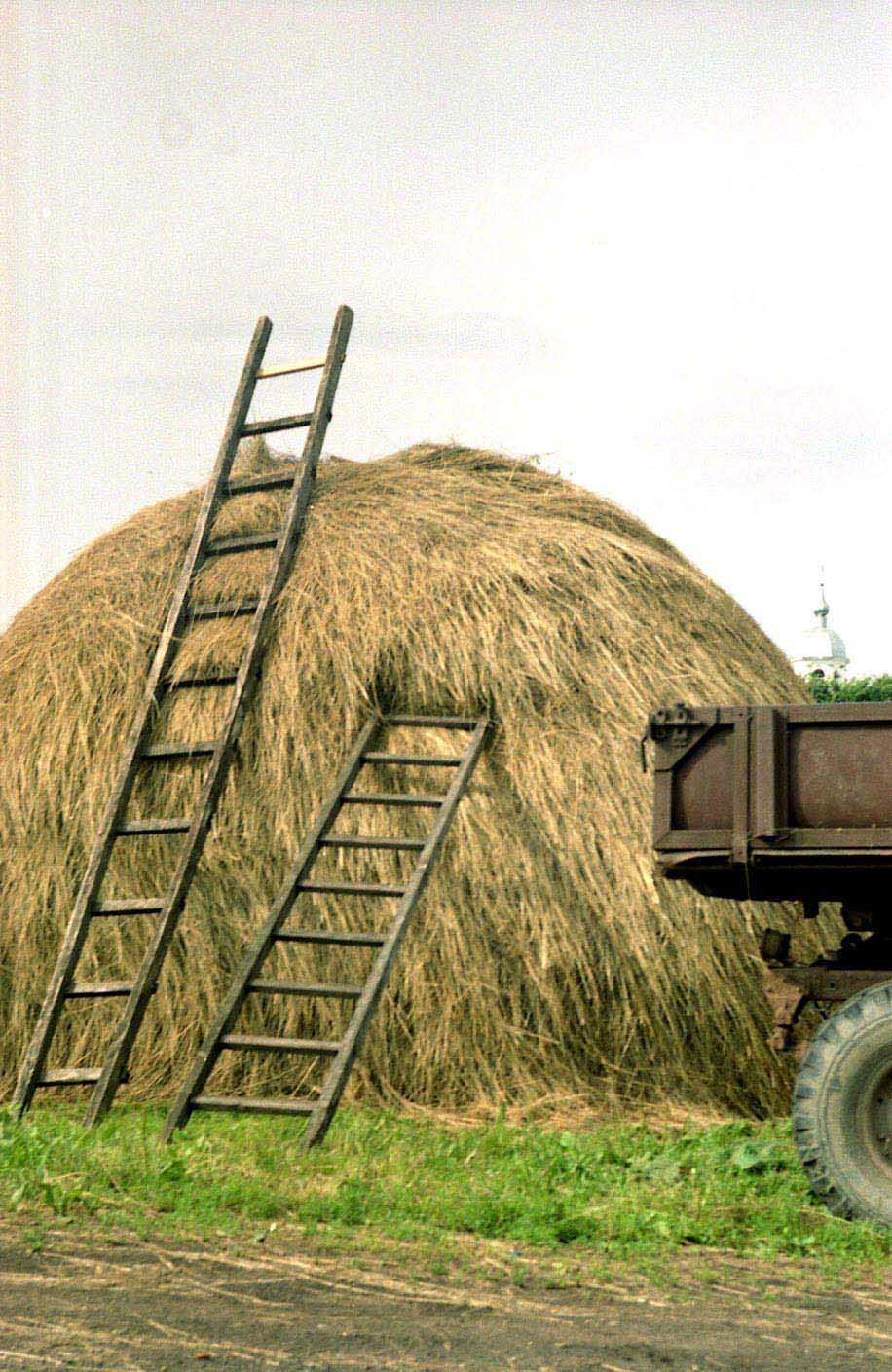 Стог