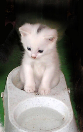 молока хочу.....