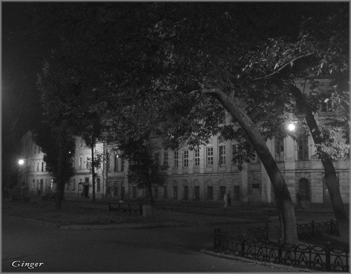 Ночная прогулка