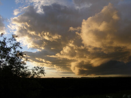 Перед бурей