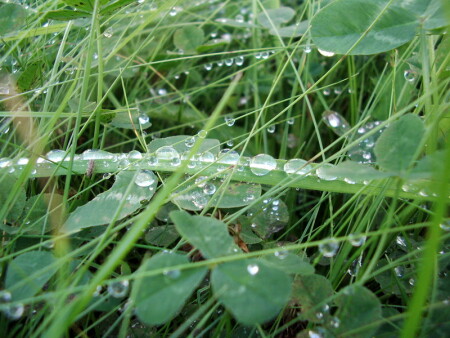 После дождя