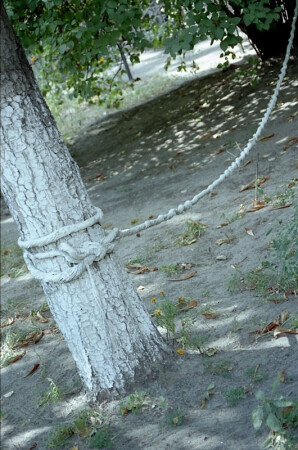 Чтоб не убежало!