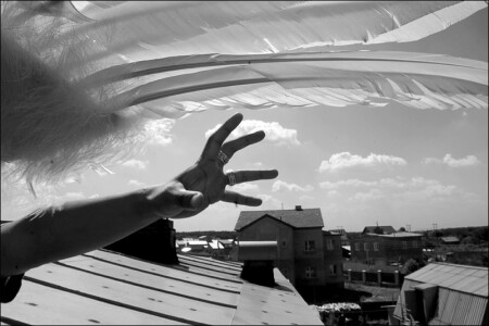 catch the sky