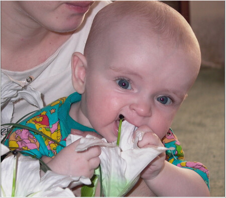 Я познаю МИР!