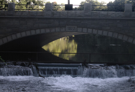 воспоминание о лете [summer remembrance]