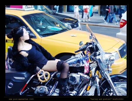 "HARLEY & PRETZEL" NEW YORK