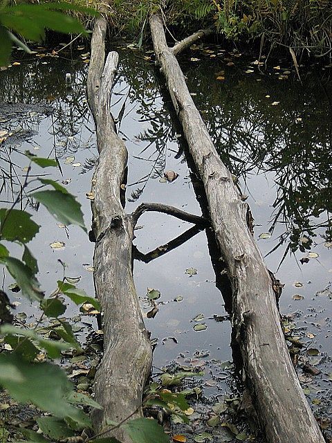 Осенний этюд,снова осень