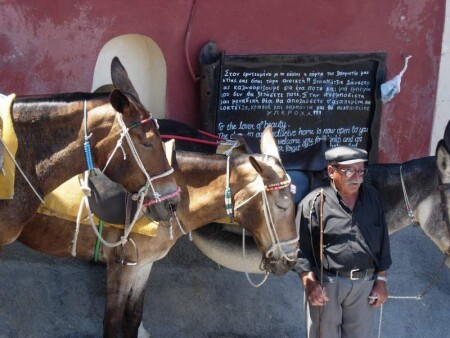 Владелец ослов