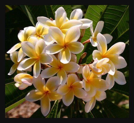 вечное лето