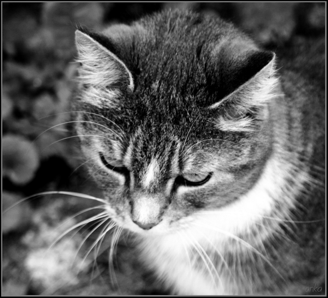которая сама по себе......