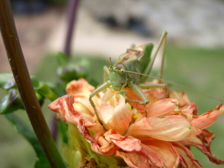 &amp;quot;...у Вас ус отклеился... тьфу,тьфу... спасибо!&amp;quot; :)