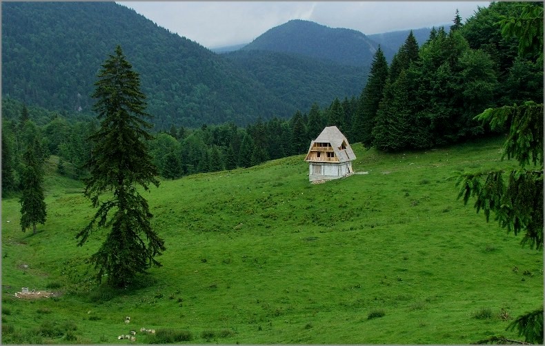 В Карпатах...