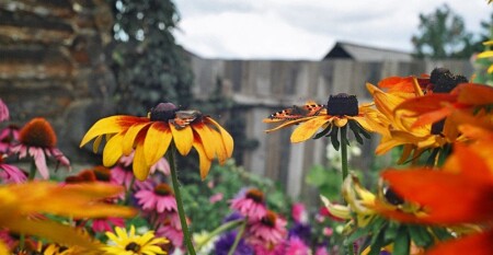 К старту готов!