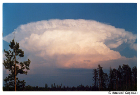 После грозы