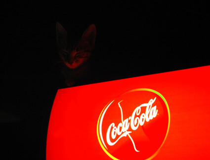 COCA-CAT