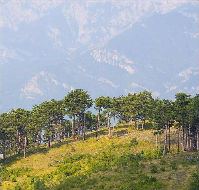 На краю