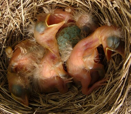 Доброе утро!