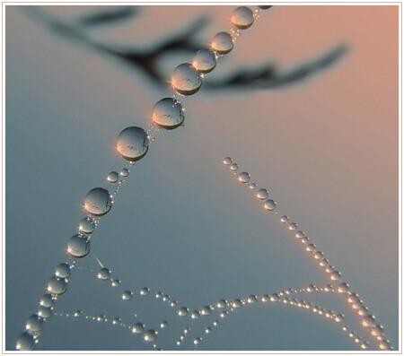 Diamond reflections