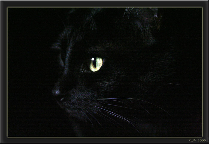 Do you know what is hidden in darkness? 