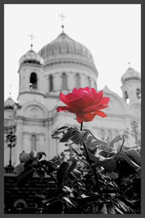 Tender Moscow