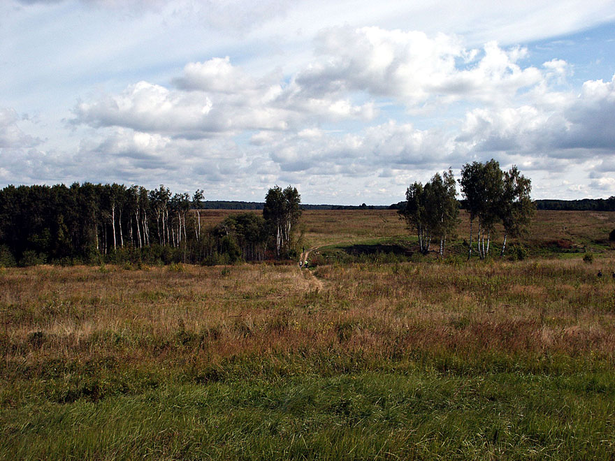 Дорога
