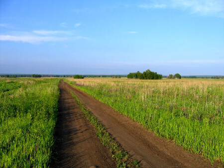 Одинокая дорога
