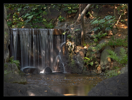 В парке Koishikawa Korakuen