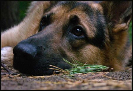 Уметь ждать...