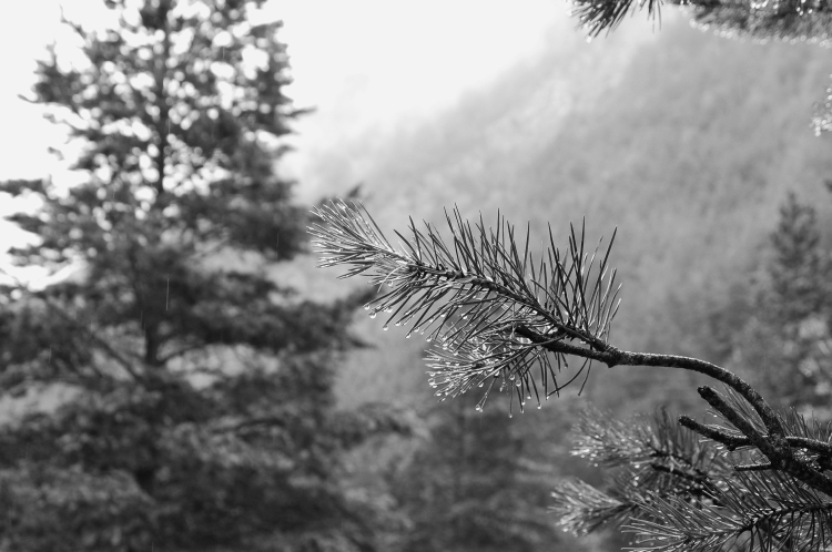 осень в горах