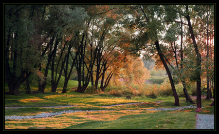 Сказочный лес