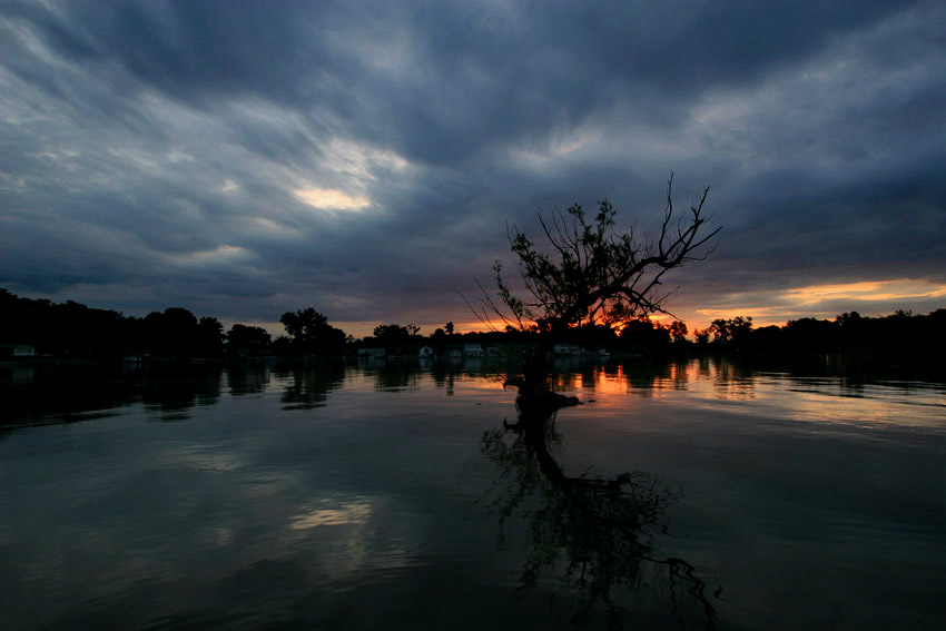 The Sunrise