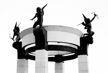 Гнездо амуров