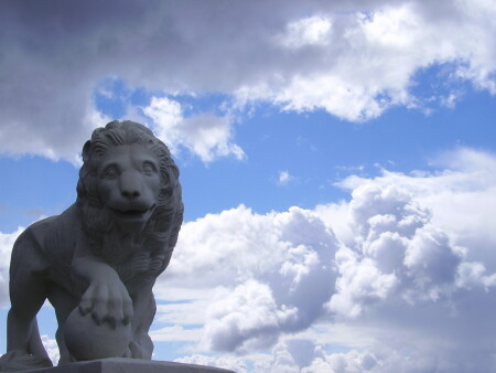 Небесный лев